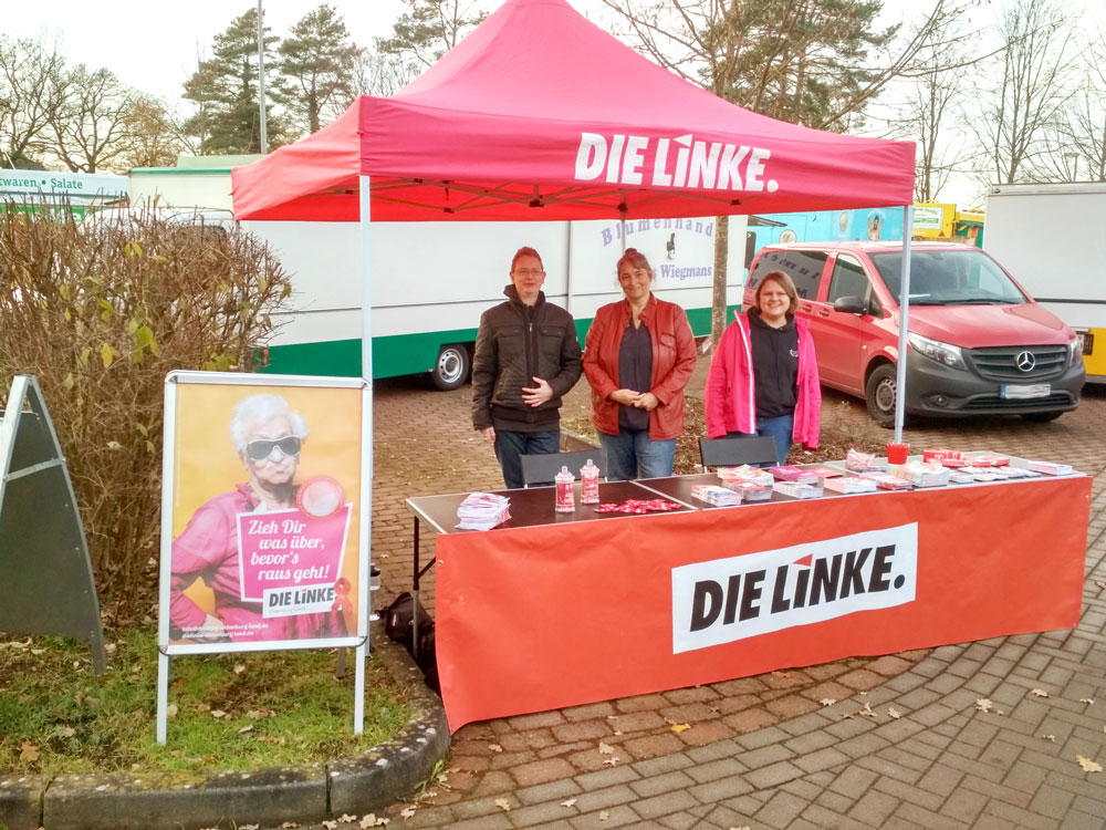 DIE-LINKE-Welt-AIDS-Tag-Infostand-Hude-2018